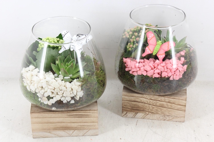 <h4>arr2 PL - Glas konisch hout - roze/wit</h4>