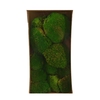Preserved Mos 7-15cm x10