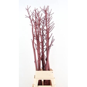 DF Ferule Kapstok Metallic Brown