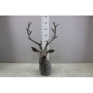 Deco H862440012 Reindeer Head L43w31h73