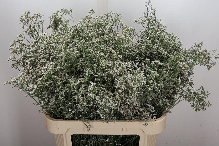 <h4>Lim White Neto</h4>