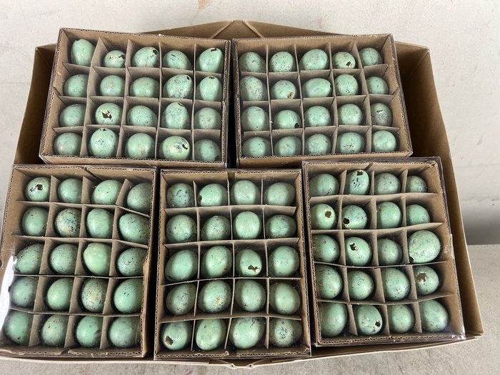 <h4>Egg Quail Turq, Box(60pcs)</h4>