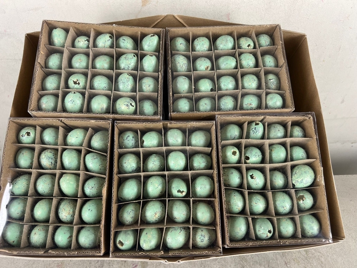 <h4>Egg Quail Turq, Box(60pcs)</h4>