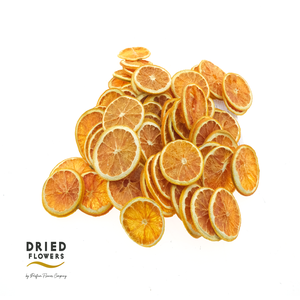 Dried Deco Grapefruit Slices Red
