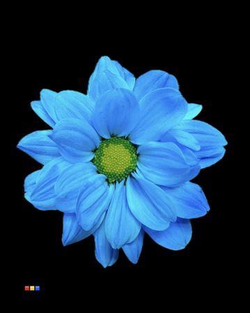 <h4>Chr T Chic Light Blue</h4>