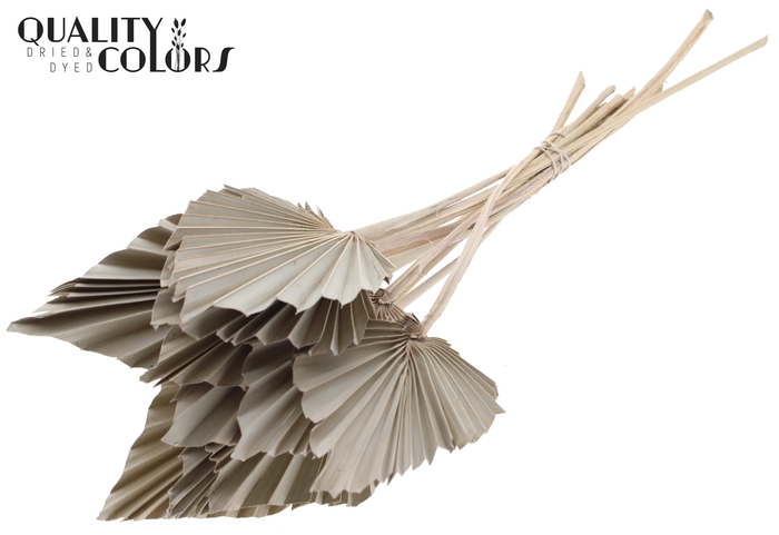 Palm Spear per stem Frosted White