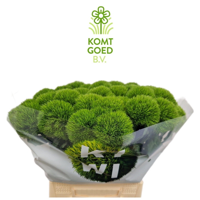 <h4>Di Barbatus Kiwi Mellow Komt Goed</h4>