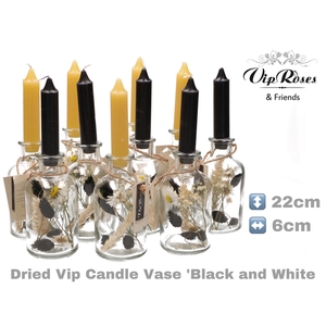 DRIED VIP CANDLE VASE BL & WH