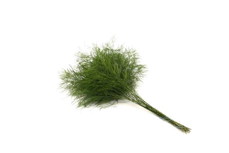 <h4>Asparagus per bos virgatus</h4>