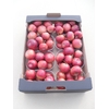 MALUS SIERAPPEL BOX
