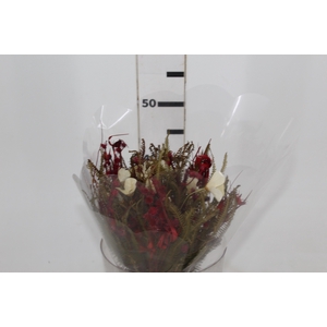PLANTA SECA BUQUE VARIADO VERMELHO 50CM