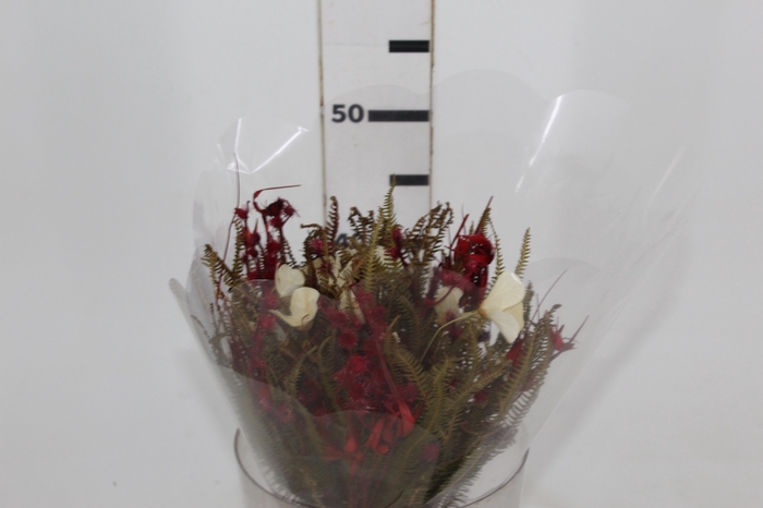 <h4>PLANTA SECA BUQUE VARIADO VERMELHO 50CM</h4>
