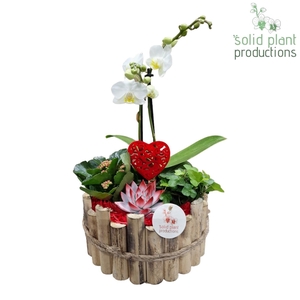 HVPE002 Milano Large Red