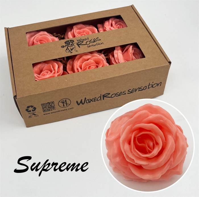 <h4>Zijde R Supreme Versilea Wx</h4>