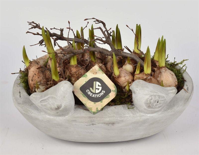 <h4>Cement voederschaal 25x16cm</h4>