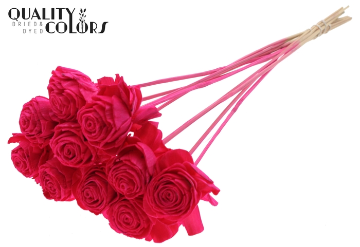 Shola Dahlia 6cm on stem Cerise