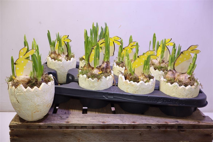 <h4>Arr Tete In Half Ei Keramiek</h4>