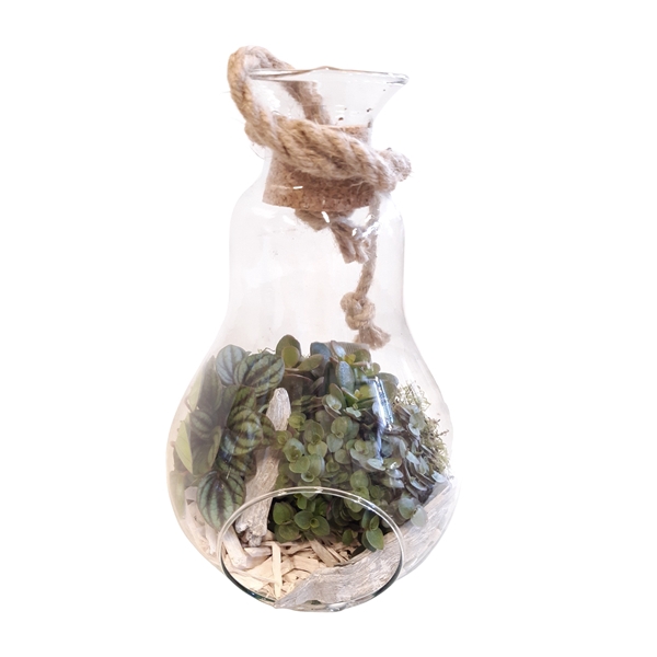<h4>812 WHI Terrarium +Kurk+touw succ.mix White deco</h4>