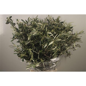 Olijf Per Bunch 400 Gram