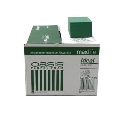 <h4>Oasis Brick Ideal x20 23*11*8cm</h4>