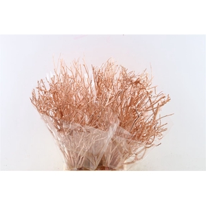 Bundel Tea Branch Copper 65cm