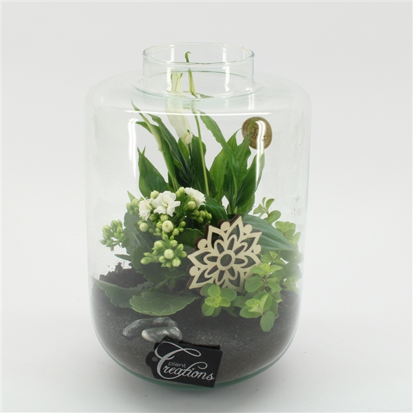 <h4>ESCR-2533W Essentials terrarium</h4>
