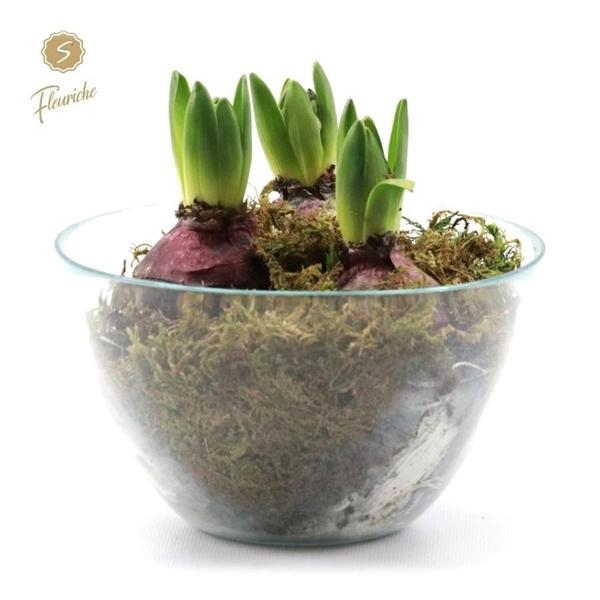 <h4>(DN474) Hyacint Bowl Charlotte</h4>