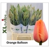 Tu En Orange Balloon