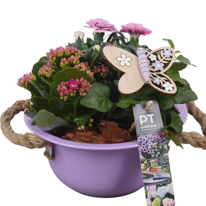 <h4>PTPP6832 Arrangement Patio in metalen schaal</h4>