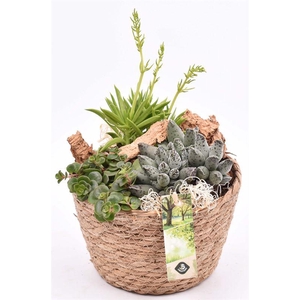 Touwmand naturel 18cm