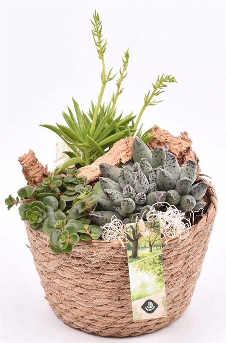 <h4>Touwmand naturel 18cm</h4>