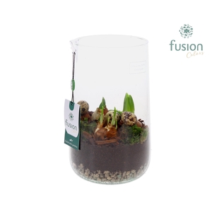 Green Bottle Deline Large Pasen met Bollen mix