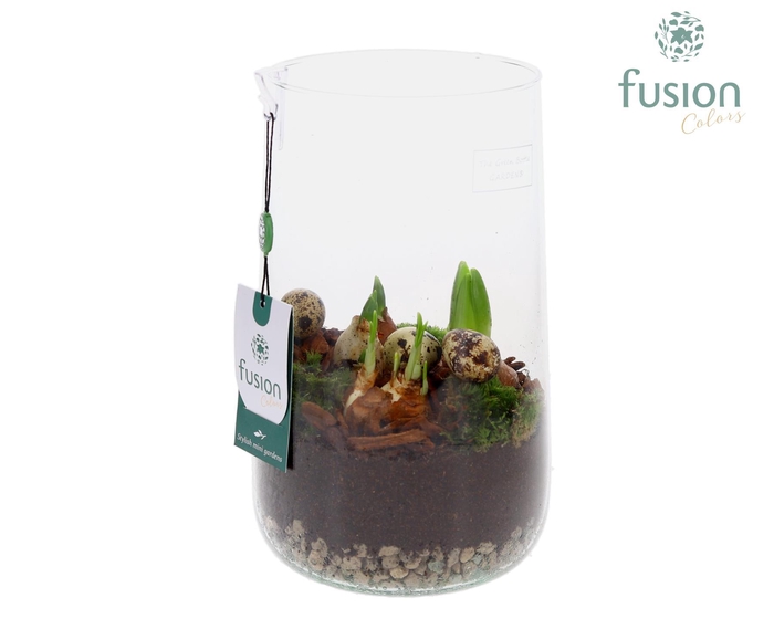 <h4>Green Bottle Deline Large Pasen met Bollen mix</h4>