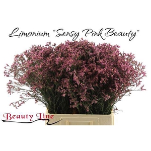 LIM SIN SEN PIN BEAU