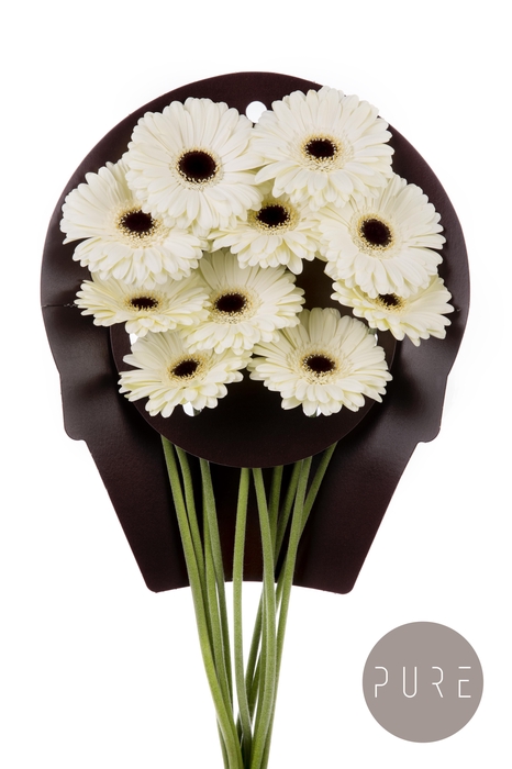 <h4>Gerbera White House Water x40</h4>
