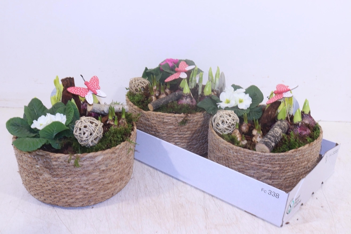 <h4>ARR TUINPLANTEN</h4>