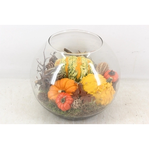 arr4 Sierfruit MB - Bolglas XL