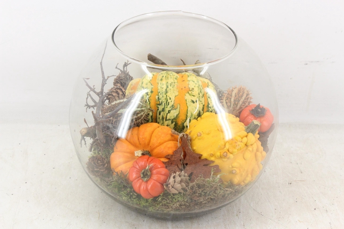 <h4>arr4 Sierfruit MB - Bolglas XL</h4>
