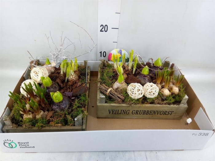 <h4>Arr.   Bol/Knolgewas L%</h4>