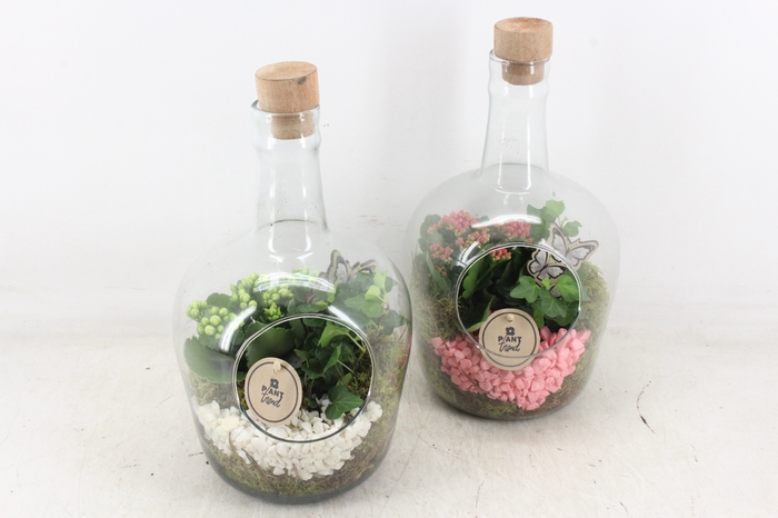 <h4>arr2 PL - Glas fles dop 999/6 - roze/wit</h4>