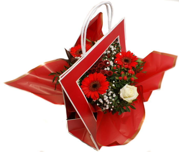 <h4>Aqua tasje Rood</h4>