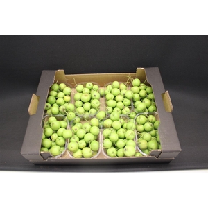 F Appel Malus Groen X8