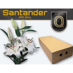 LI OR SANTANDER AA doos 5+