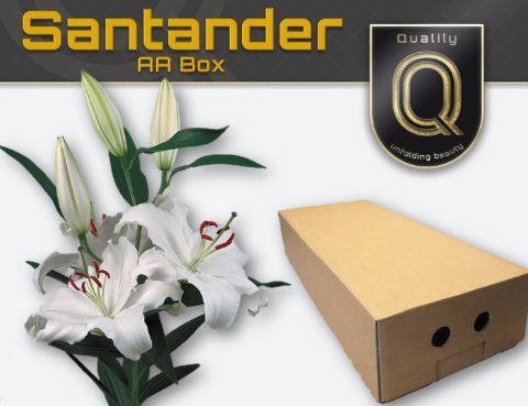 <h4>LI OR SANTANDER AA doos 5+</h4>