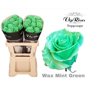 R Gr Wax Mint Green