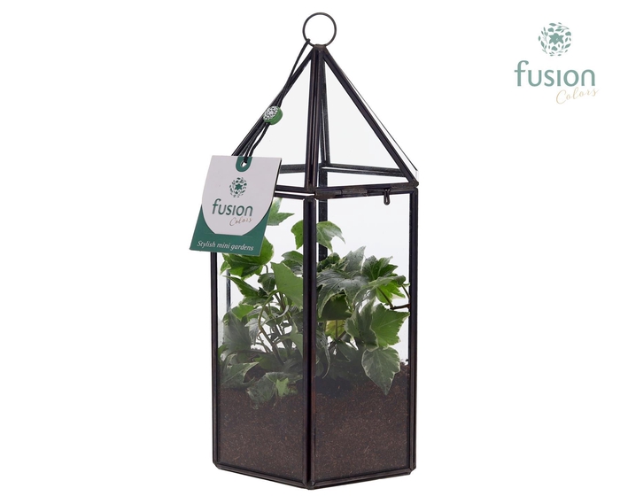 <h4>Lantaarn Geometrisch met Groen plant</h4>