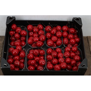 Waxmalus Rood Kerst