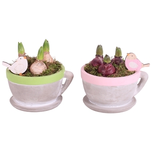 Bulbs Arr. Hyacint Ceramic Cup Flowers Green/Yel/Pink Ø19cm