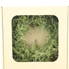 Wreath Asparagus Wild Preserved