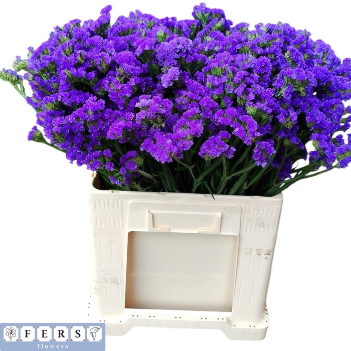 <h4>LIM S CRYST DARK BLU</h4>